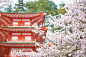 四季折々の写真